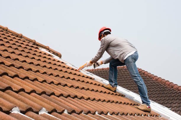 Best Gutter Installation and Repair  in Combe, LA