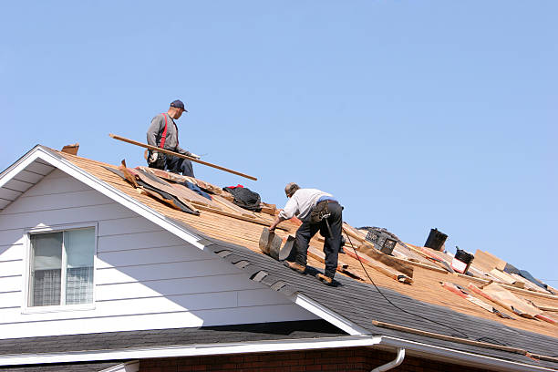 Best Roof Insulation Installation  in Combe, LA